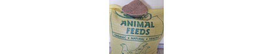 Animal Feed